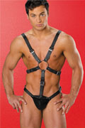 Abb. uomo